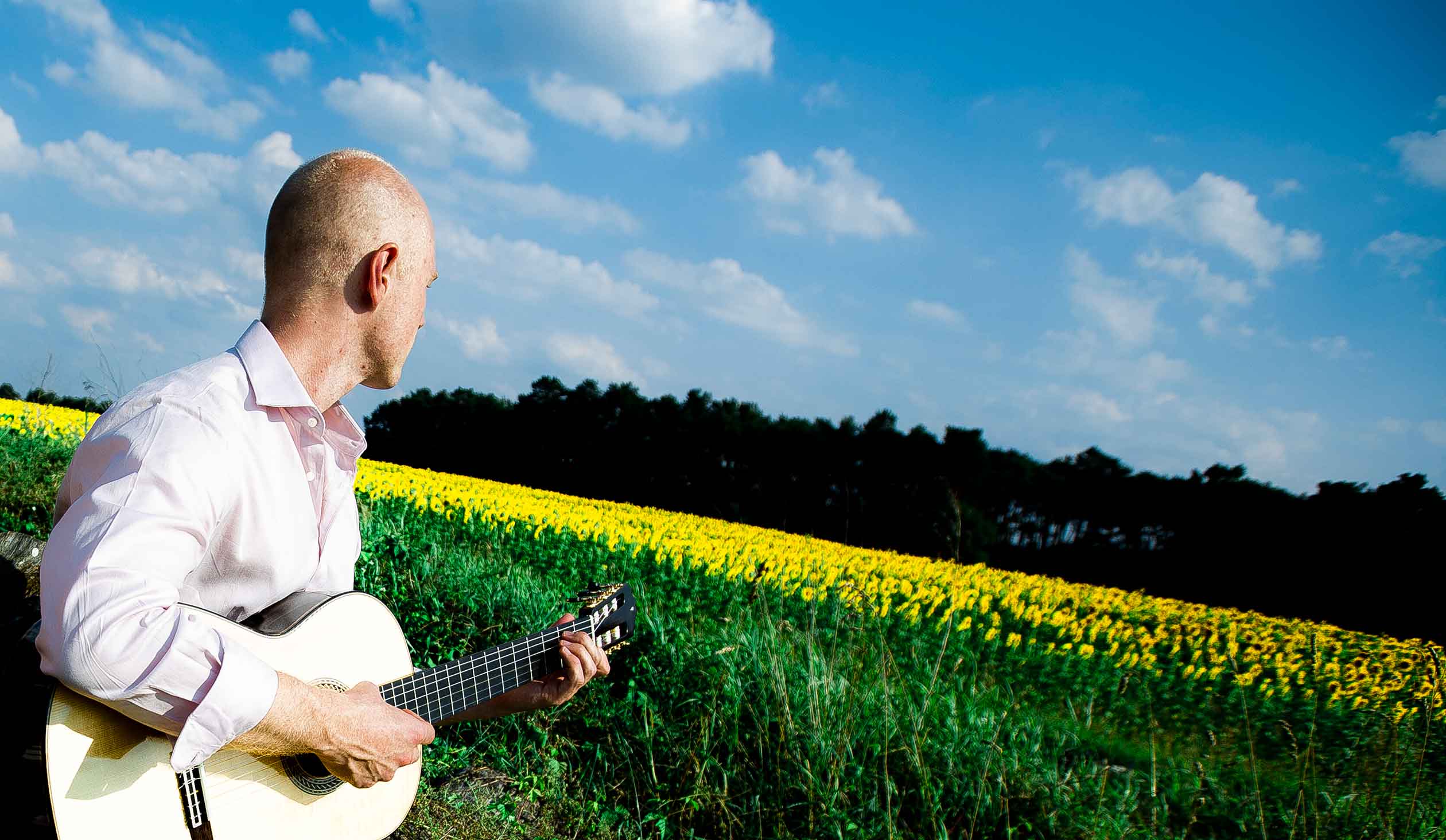 Gitarrist Philipp Niedrich vor einem Sonnenblumenfeld